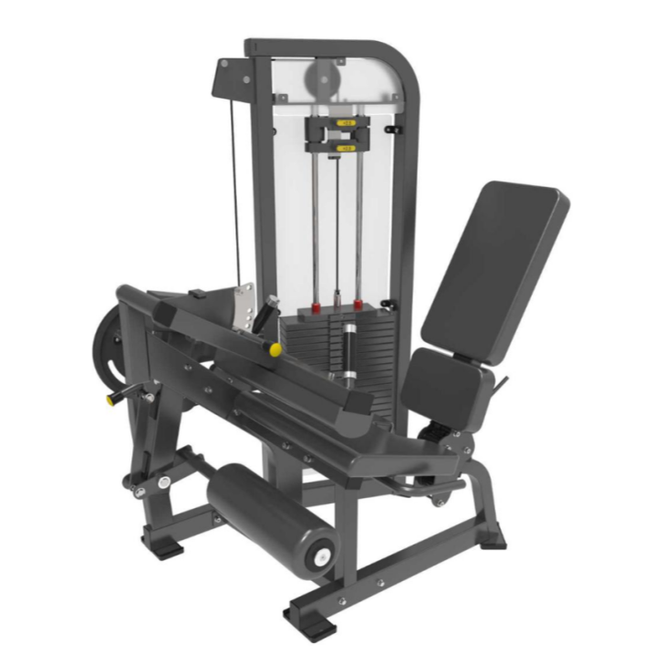 Ekstensi kaki Leg Curl